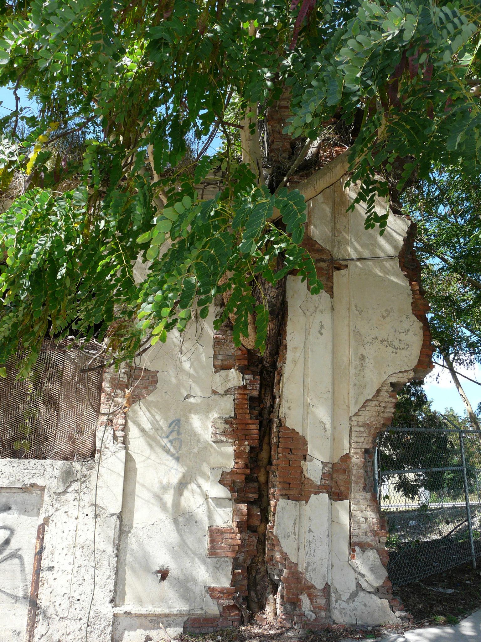 Edificio abandonado en la Avenida González Clemente - Ponce - 2012 00015